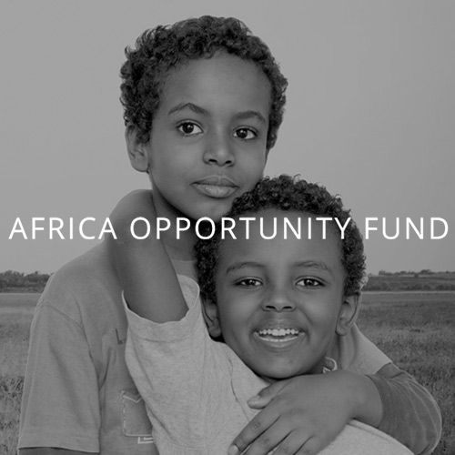 Africa Opportunity Fund portfolio by Converge S.A.